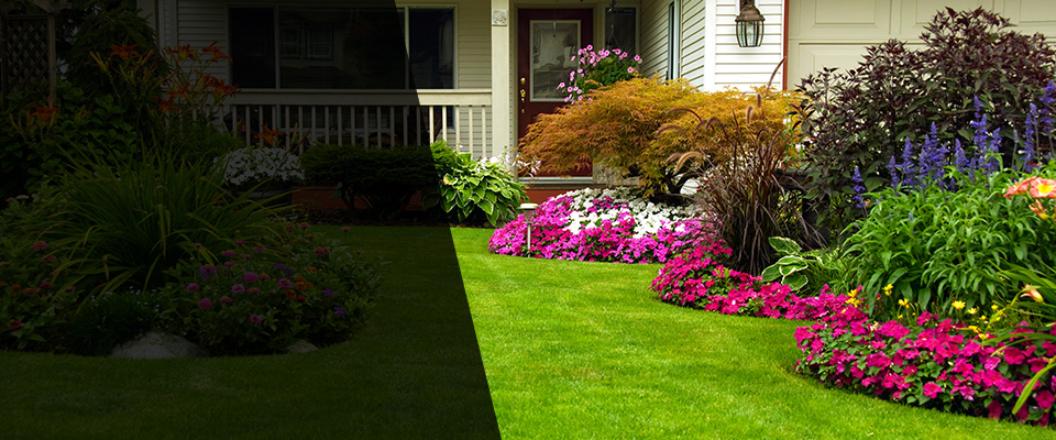 Anthony Landscapers